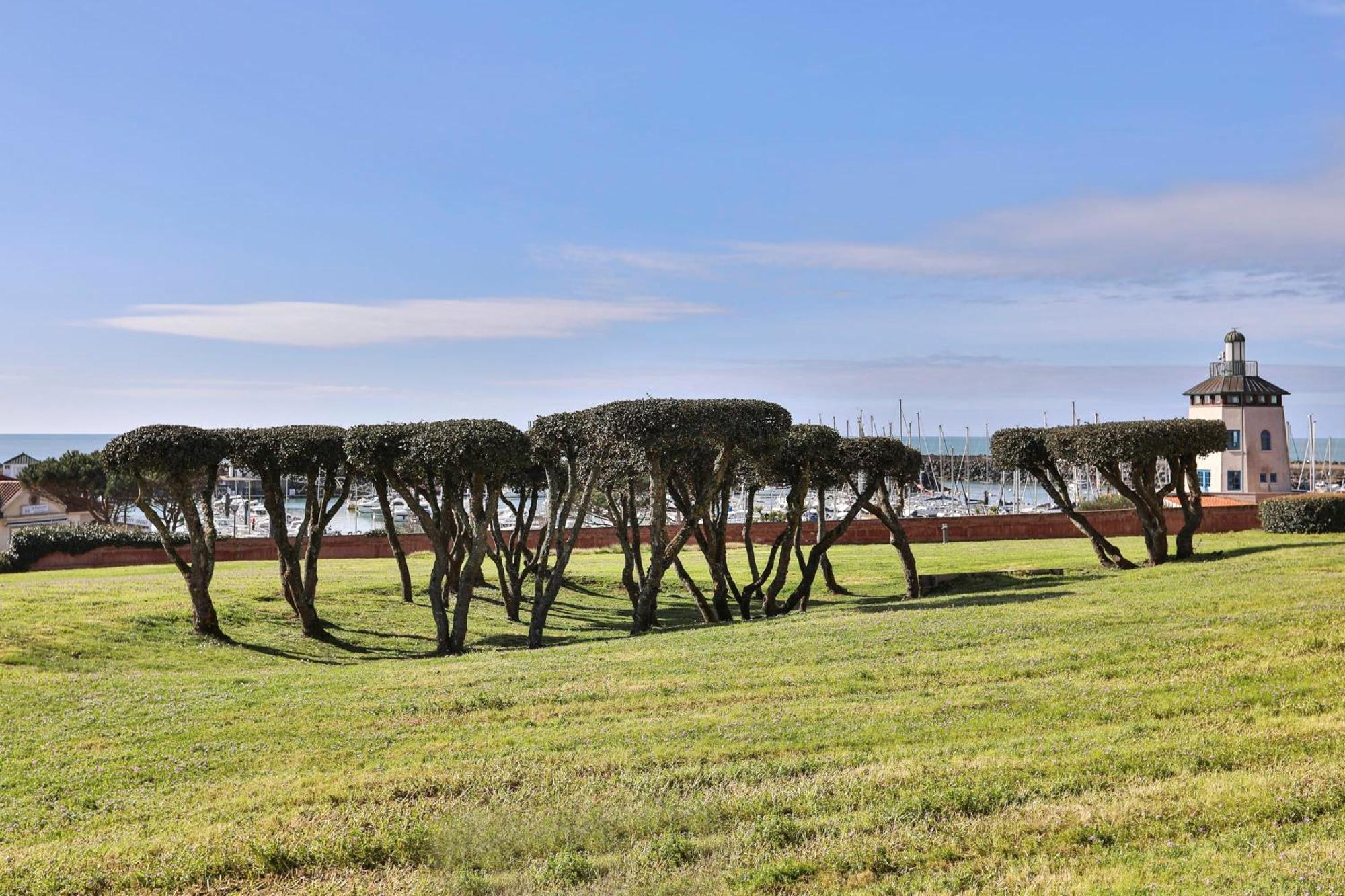 Appartement, Vue Imprenable Sur Port Talmont-Saint-Hilaire Esterno foto